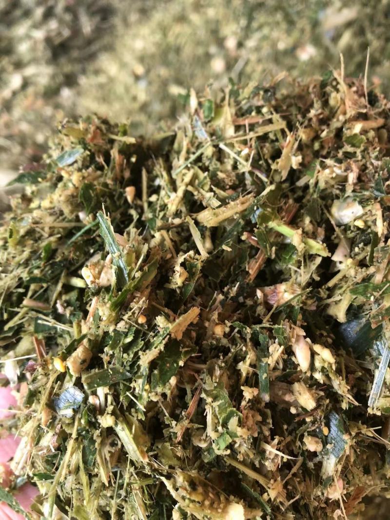 牧草青储料