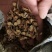 甘草片，高含量，无硫，自然晾晒风干，产地直发