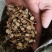 甘草片，高含量，无硫，自然晾晒风干，产地直发