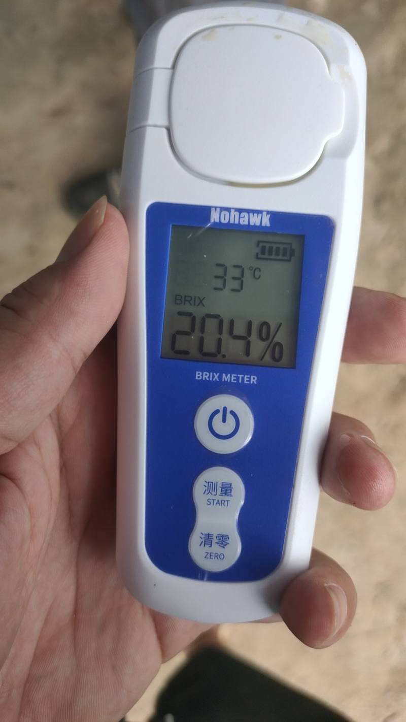 百香果钦密9号