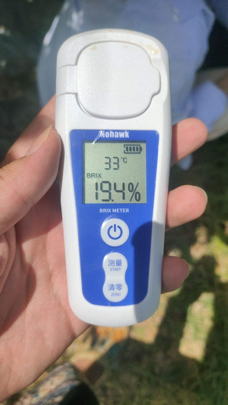 百香果钦密9号