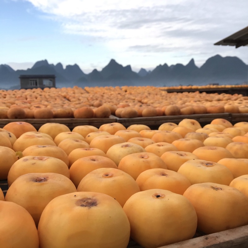 2024新货包邮广西恭城农家糖心柿子饼圆饼边晒边卖