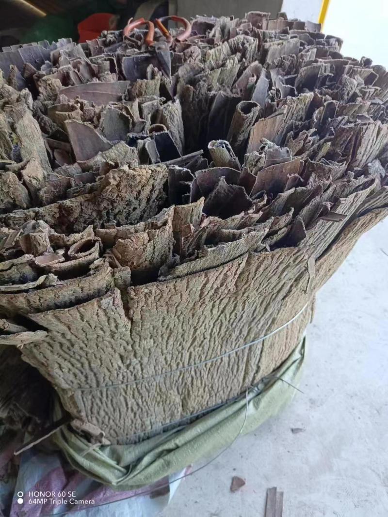 杜仲，杜仲皮，杜仲块，杜仲丝，产地供应中