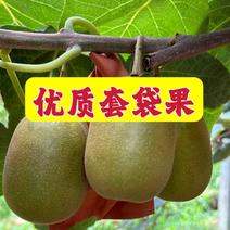 蒲江红阳红心猕猴桃，一手货源，对接市场、商超、电商！