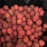 荔枝王桂味蜜丁香无核荔玉荷包支持一件代发和团购