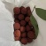 荔枝王桂味蜜丁香无核荔玉荷包支持一件代发和团购