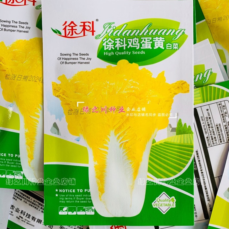 徐科黄芯大白菜种子鸡蛋黄白菜种籽秋季花心狮头白菜种子耐寒