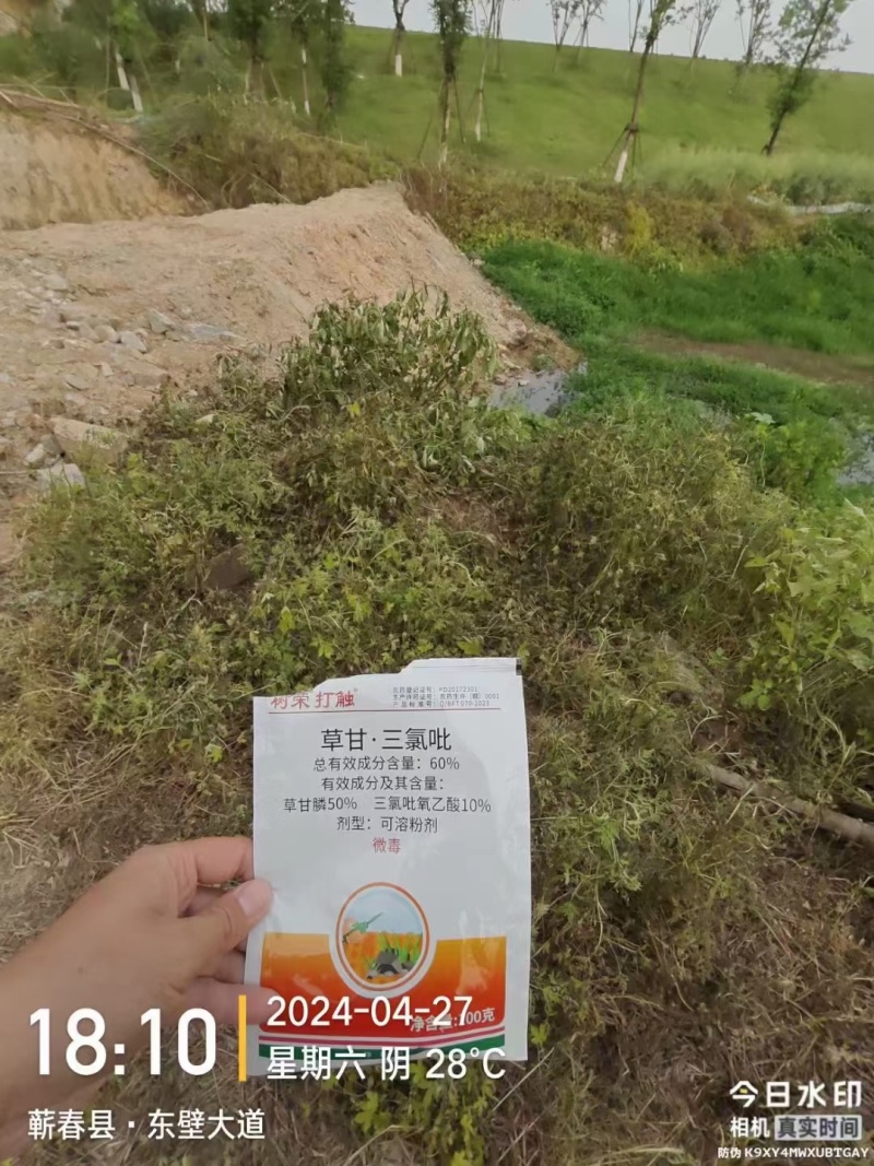 60%草甘膦三氯吡氧乙非根地杂草除草剂水花生牛筋草铁芒箕