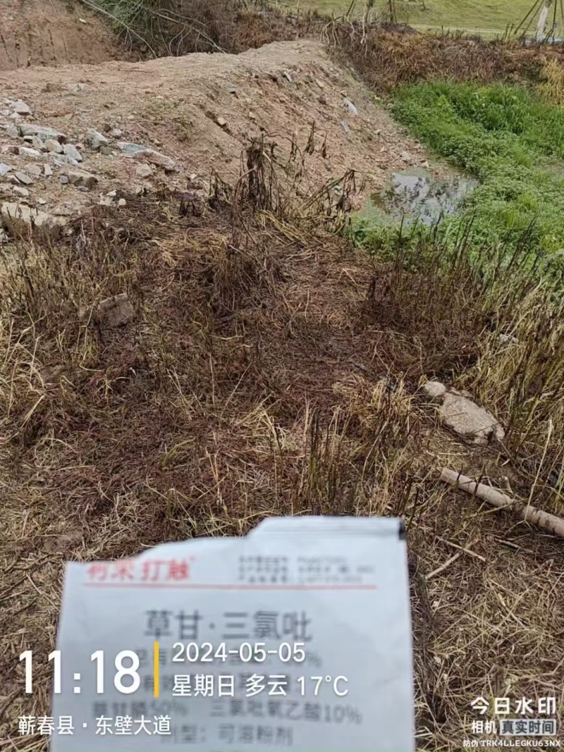60%草甘膦三氯吡氧乙非根地杂草除草剂水花生牛筋草铁芒箕
