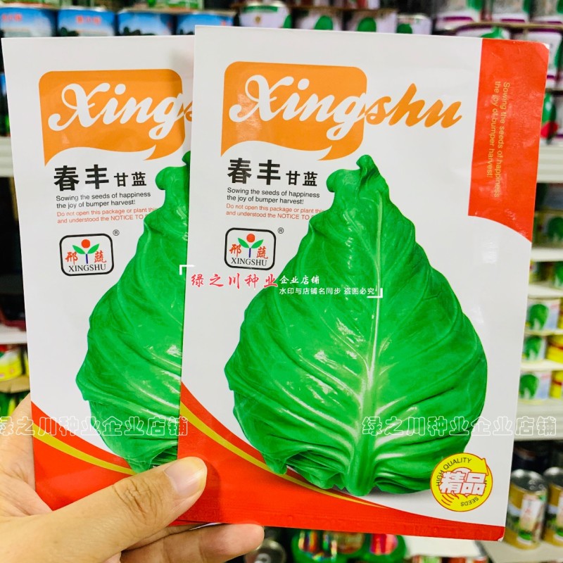 早熟春甘蓝种子牛心甘蓝种子春丰甘蓝种籽耐寒春秋牛心菜籽