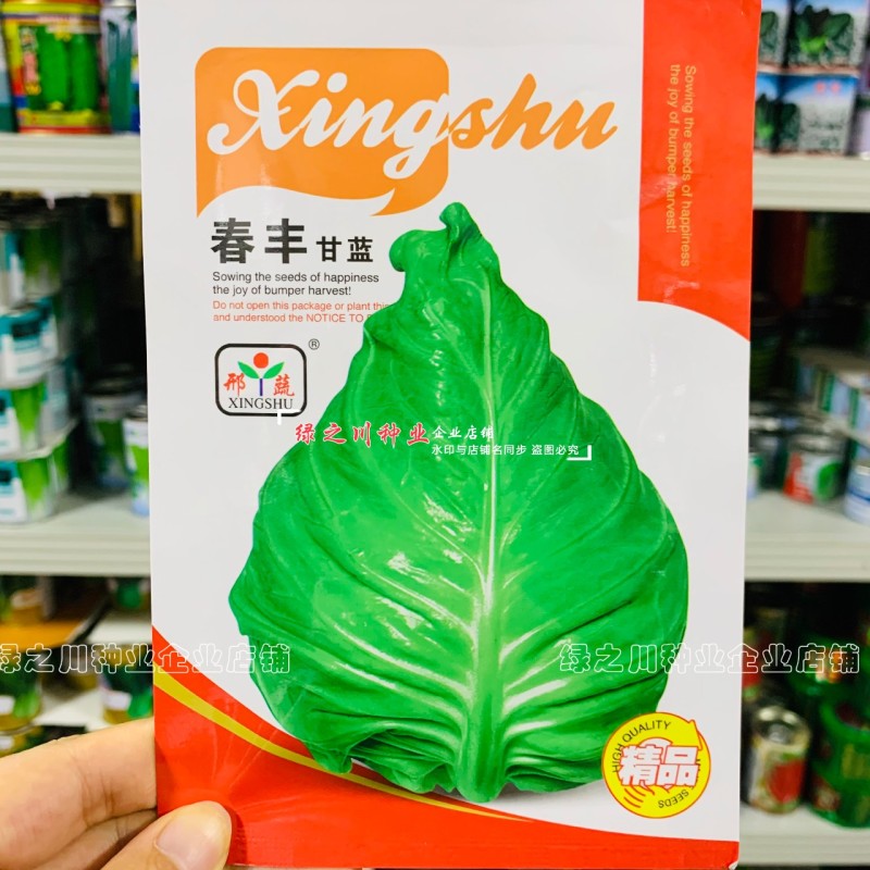 早熟春甘蓝种子牛心甘蓝种子春丰甘蓝种籽耐寒春秋牛心菜籽