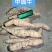 工厂常年供应各种牛大力规格，大牛，中牛，小牛，大次牛等。