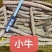工厂常年供应各种牛大力规格，大牛，中牛，小牛，大次牛等。