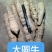 工厂常年供应各种牛大力规格，大牛，中牛，小牛，大次牛等。