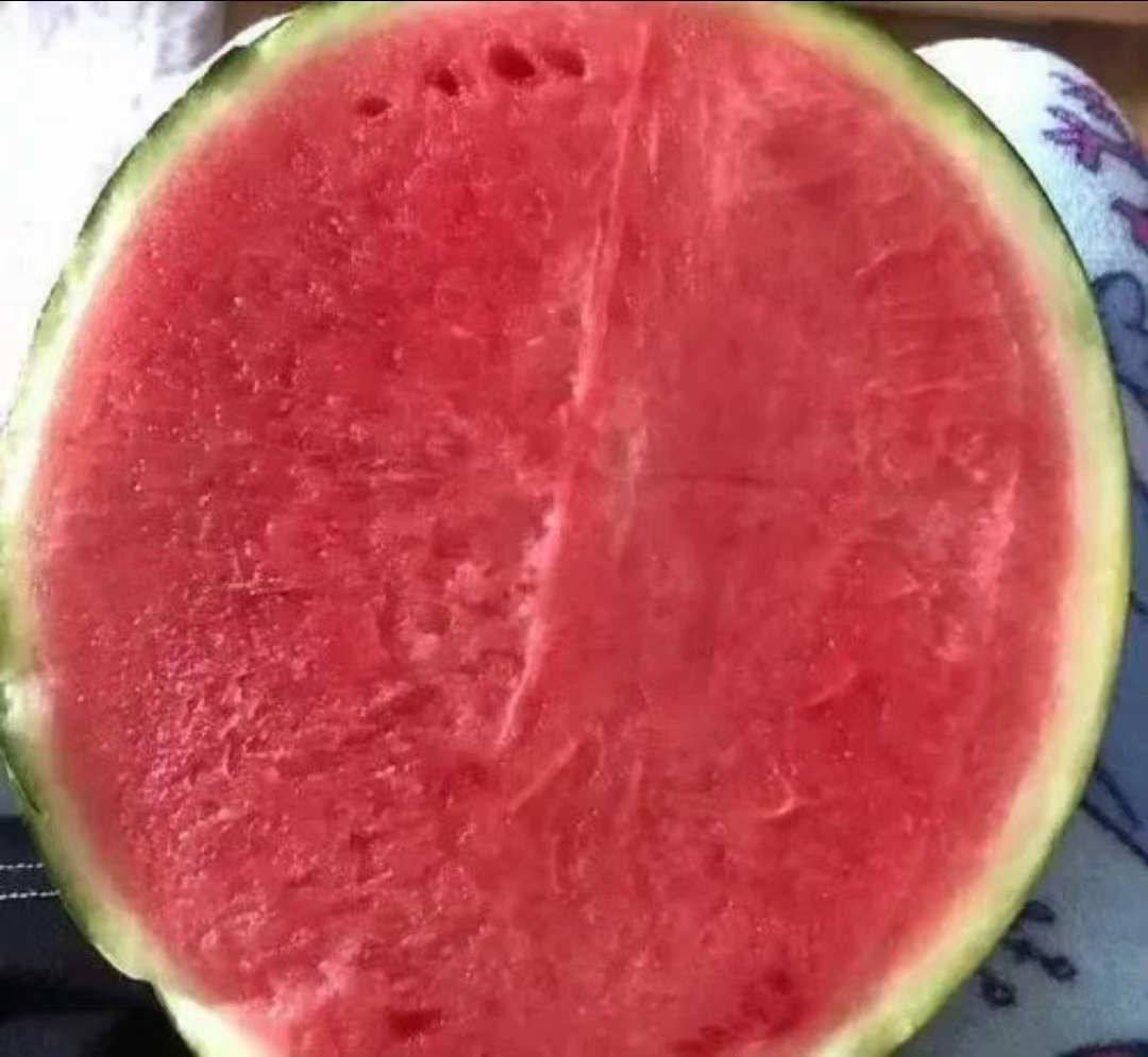 无籽西瓜切开图