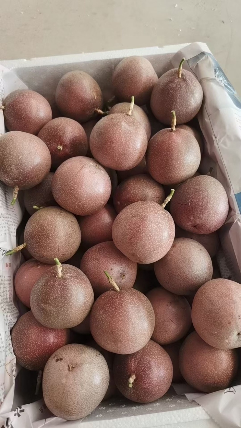 蜜桃百香果