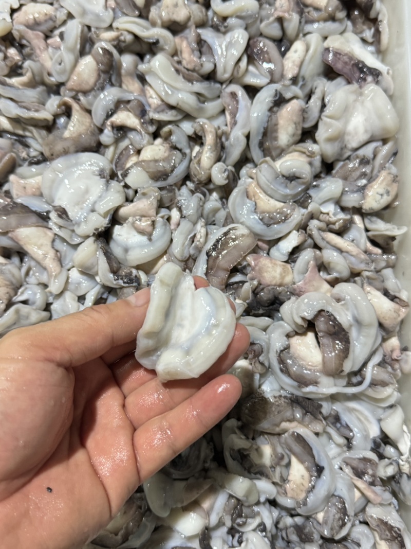 墨鱼翅膀盐磨脆口原汁原味可白勺适合自助餐快餐饭堂