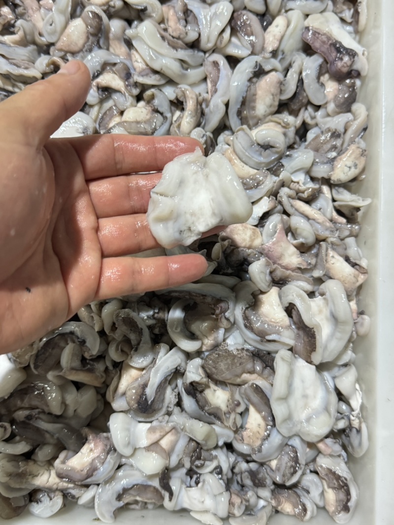 墨鱼翅膀盐磨脆口原汁原味可白勺适合自助餐快餐饭堂