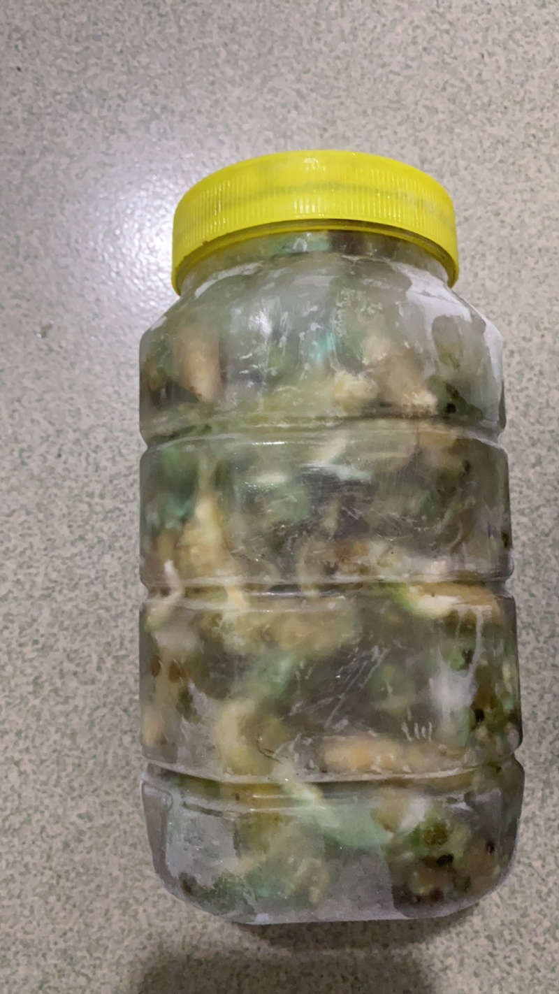 竹蝉知了大量批发