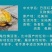 【招财黄金龟】巴西龟幼龟摆地摊龟情侣龟宠物观赏龟小乌龟通用