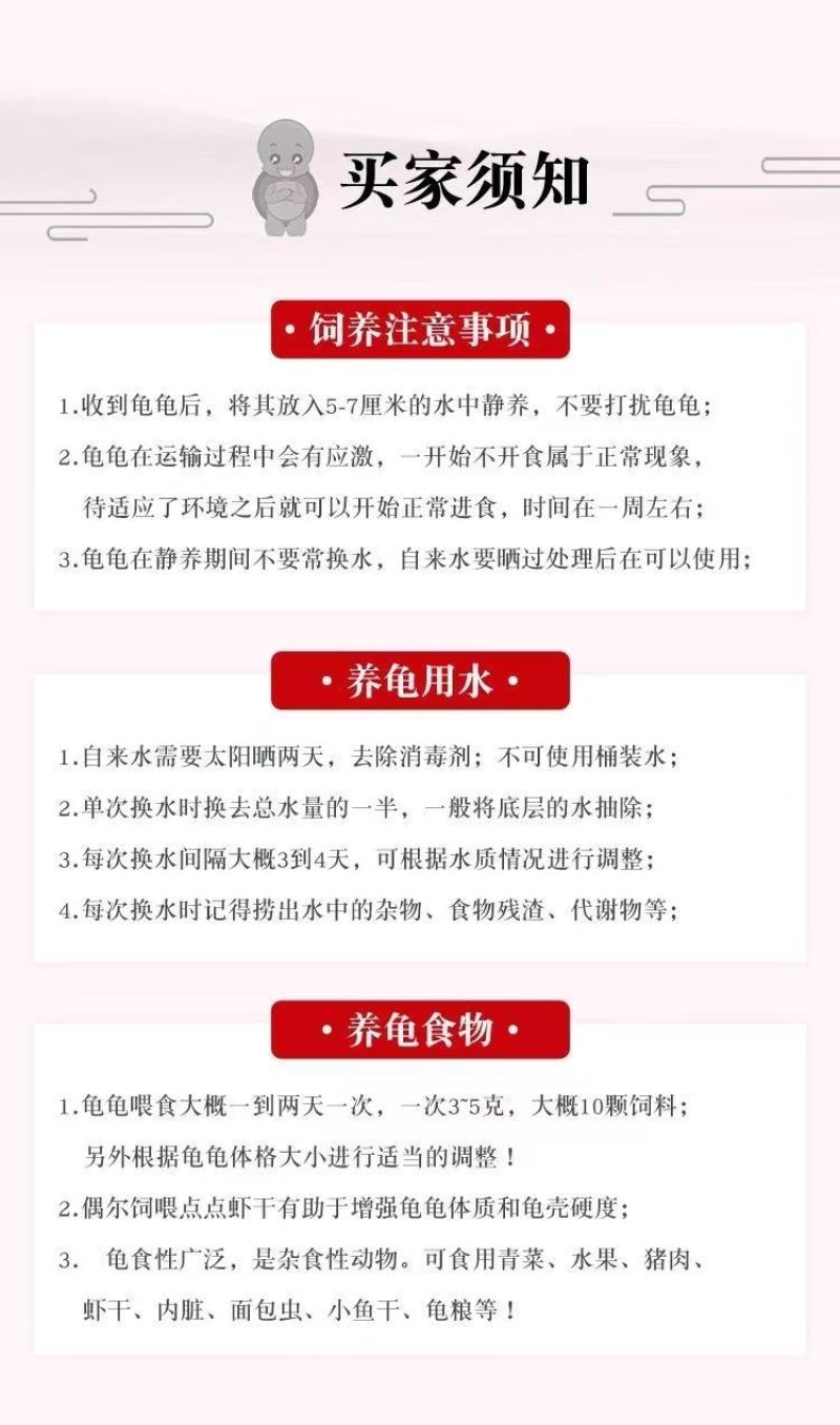 【招财黄金龟】巴西龟幼龟摆地摊龟情侣龟宠物观赏龟小乌龟通用