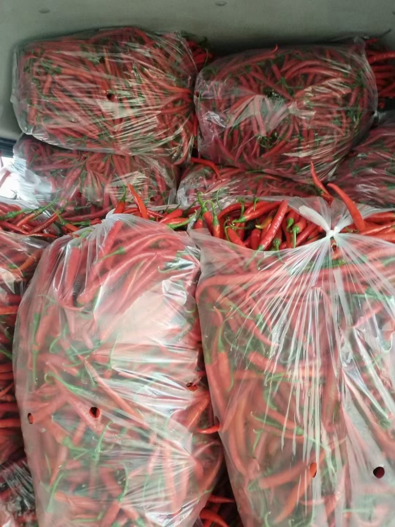 红线椒大量有货价格美丽有需要的联系我