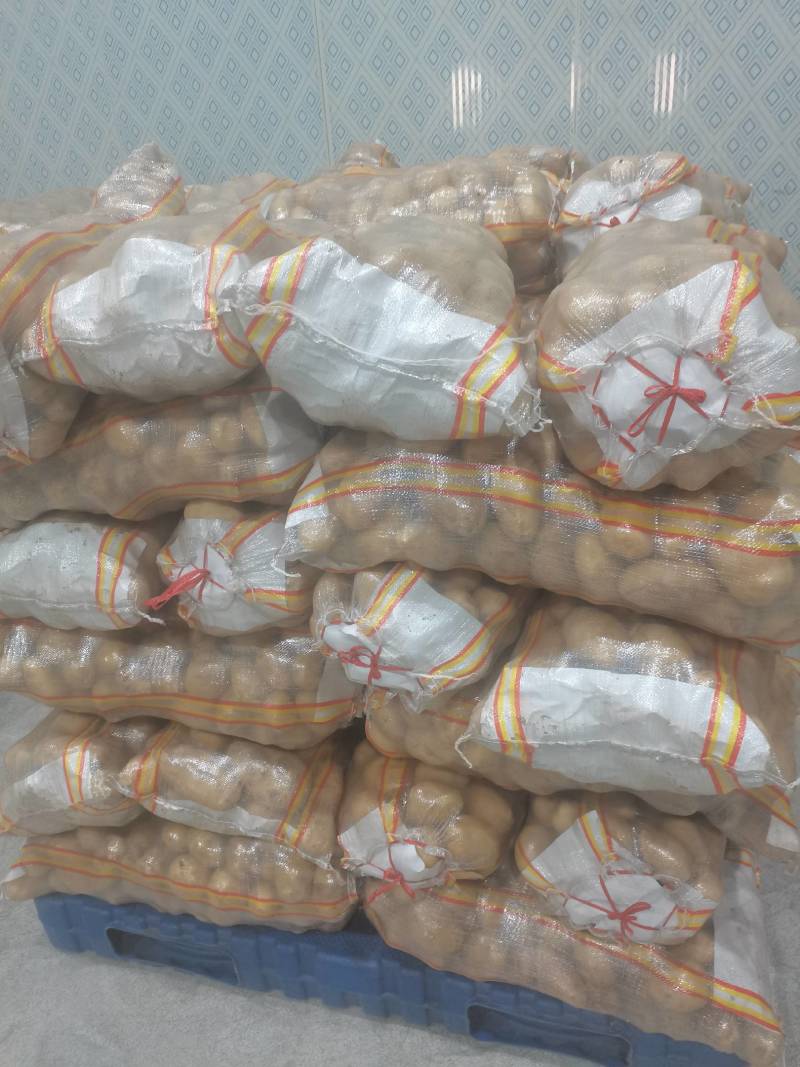 【精选】供应荷兰系列土豆货源充足保证质量土豆