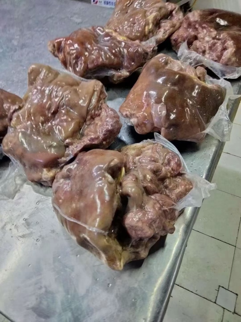 蒙古八成熟精修带皮羊肉(精修去肥油，出称率高)