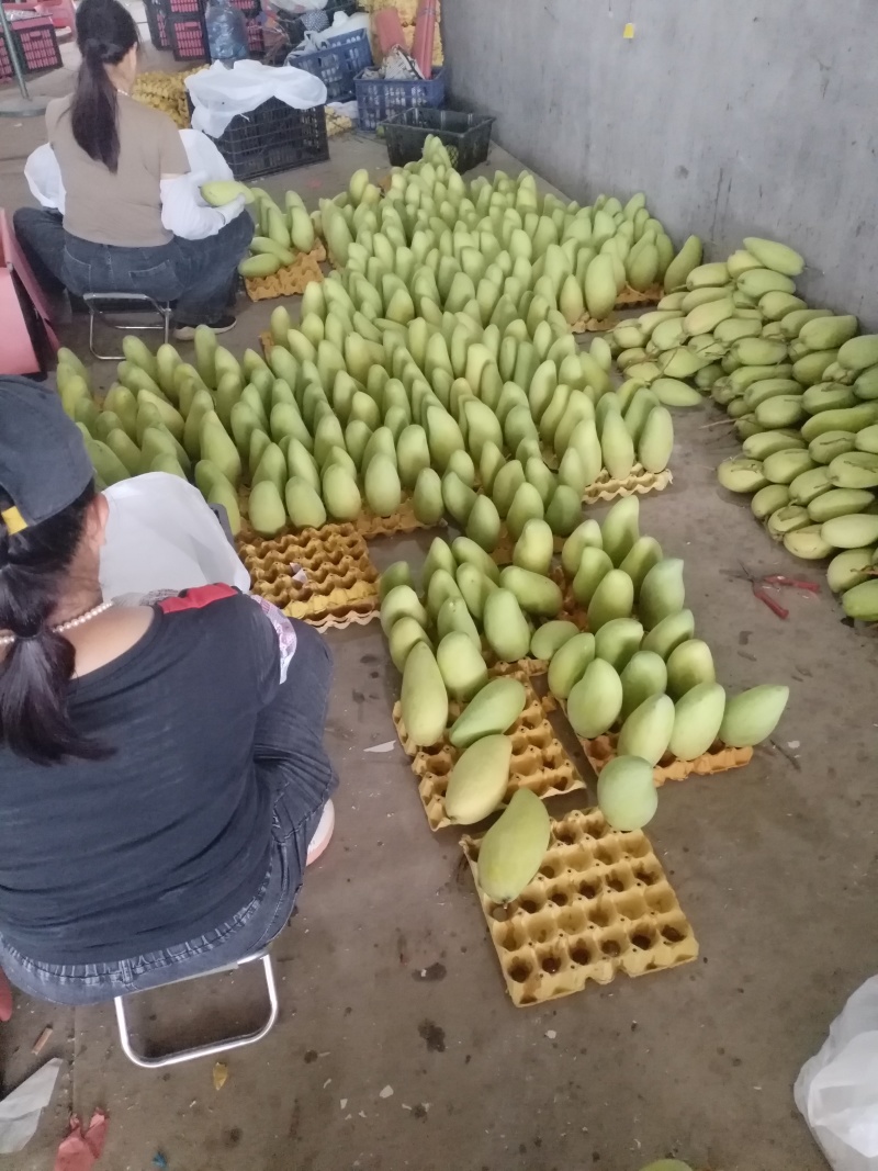 1，2级大量货源