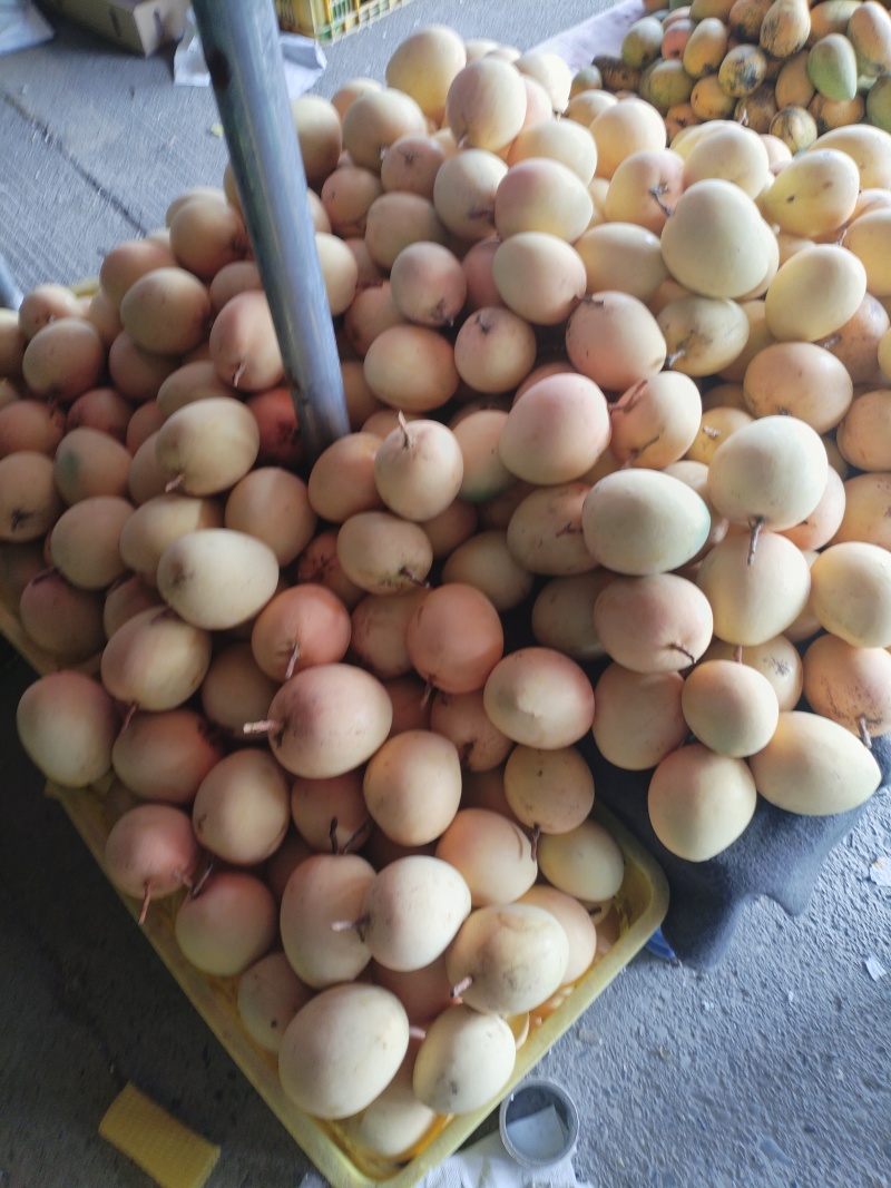 1，2级大量货源