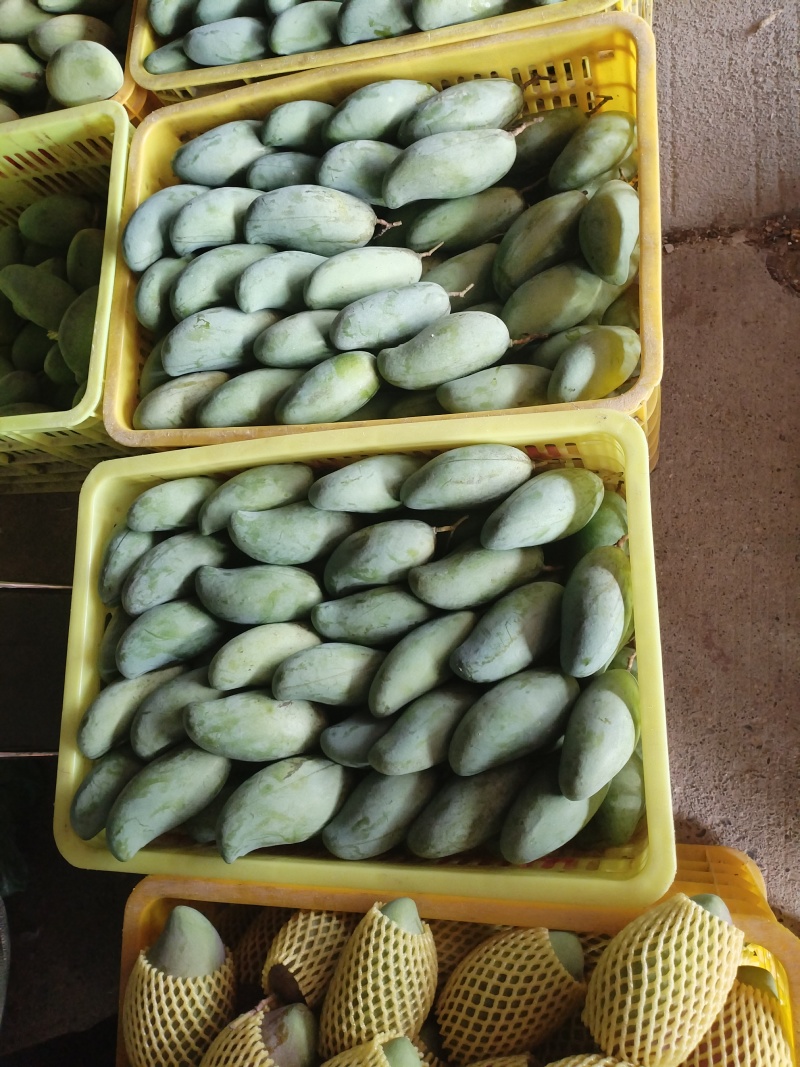 1，2级大量货源