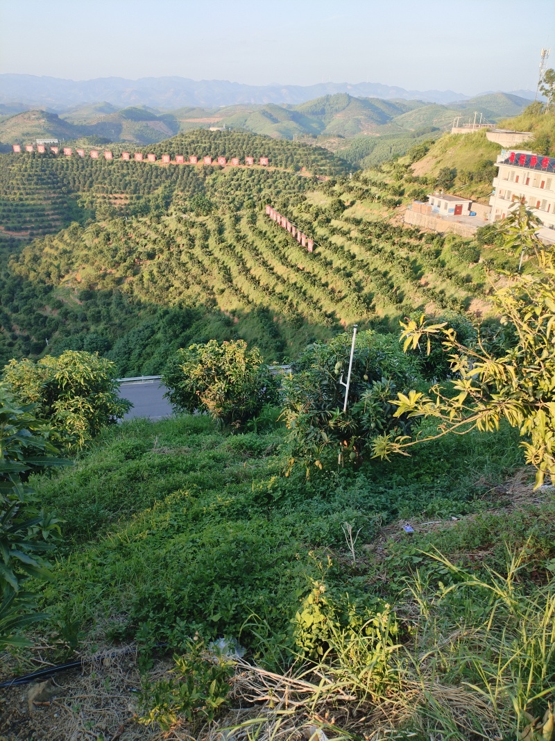 1，2级大量货源