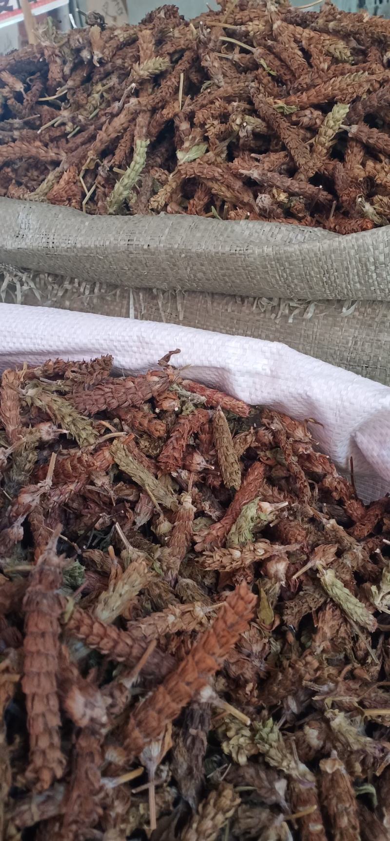 下枯球中药材批发一手货源量大忧惠全国发货