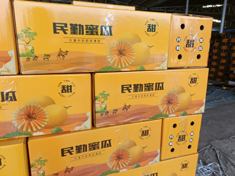 民勤金红宝蜜瓜产地直发诚信合作欢迎客户来电咨询