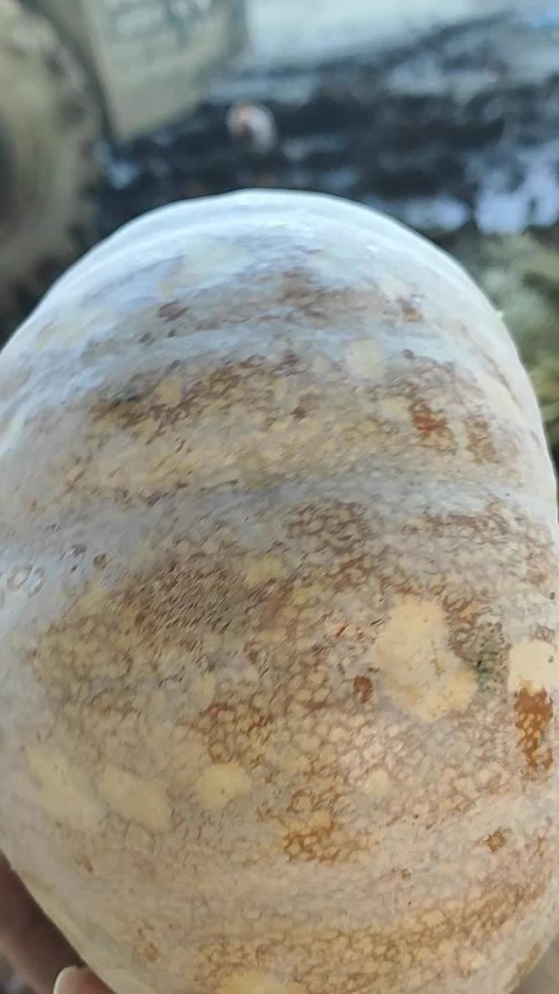 盘龙204，味道比金韩还好