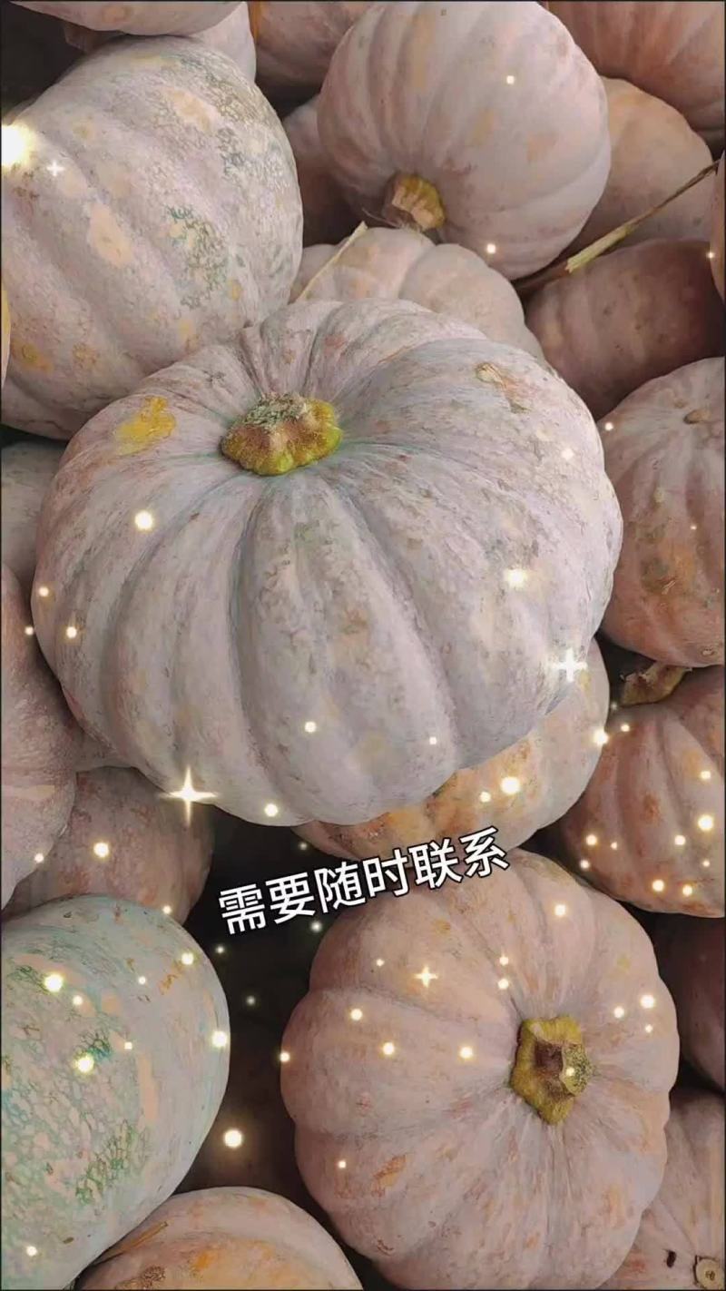 盘龙204，味道比金韩还好