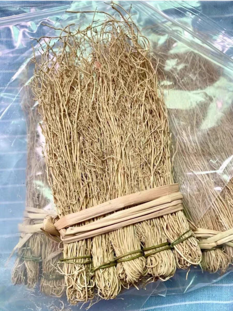 韶关养肝草