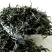 恩施富硒绿茶鹤峰生态有机茶量大质优价格优惠一手货源