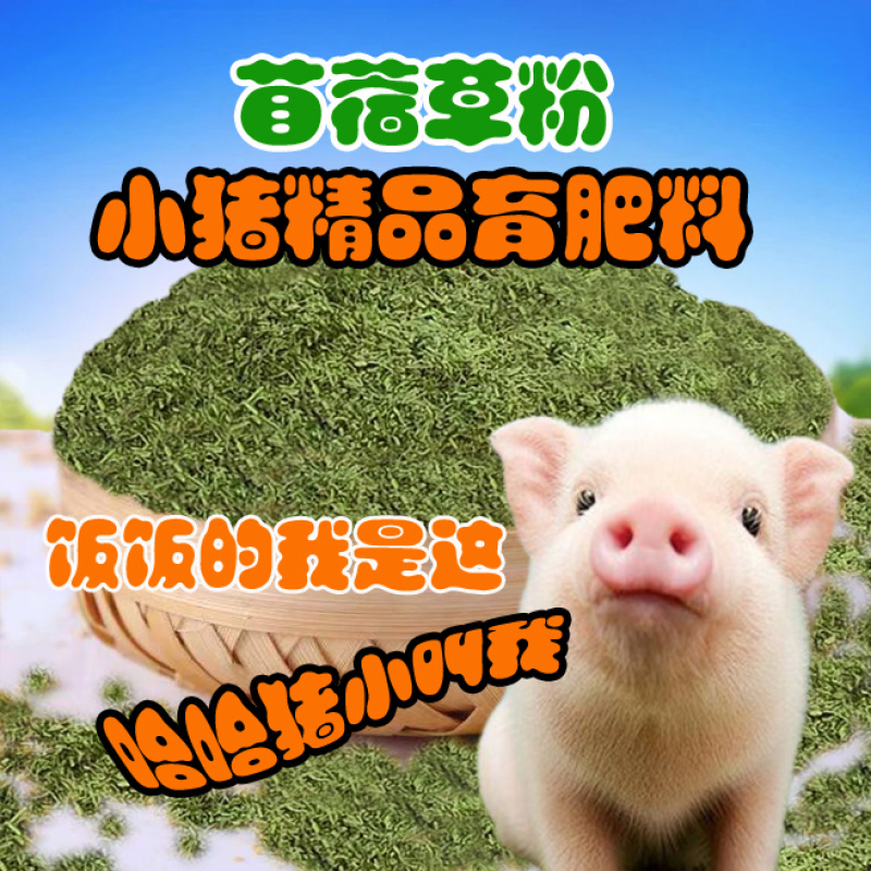 苜蓿草粉育肥猪牛羊马驴羊驼鸡鸭鹅鸵鸟家禽饲草料厂家批发