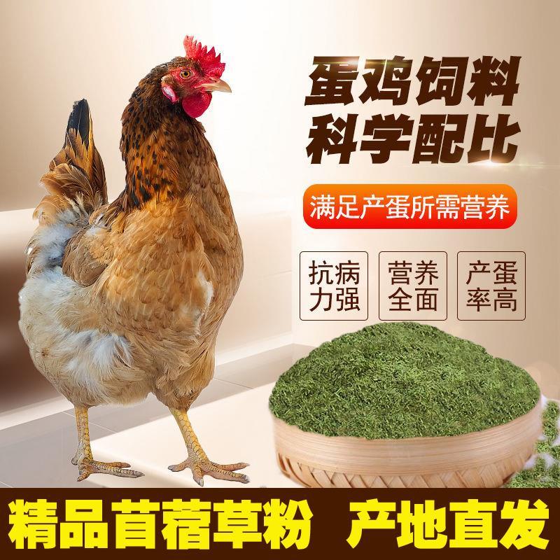 苜蓿草粉育肥猪牛羊马驴羊驼鸡鸭鹅鸵鸟家禽饲草料厂家批发
