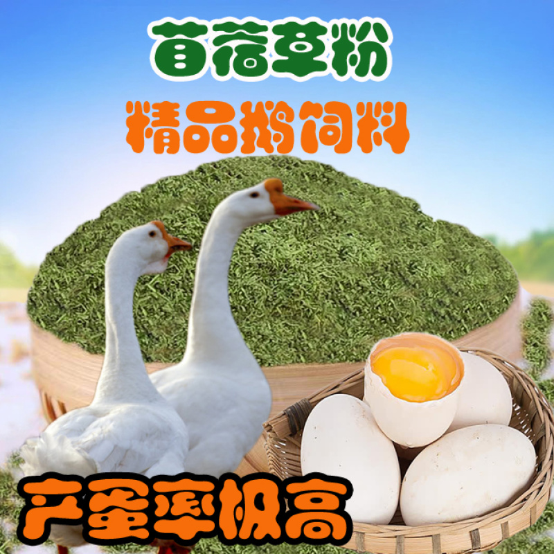 苜蓿草粉育肥猪牛羊马驴羊驼鸡鸭鹅鸵鸟家禽饲草料厂家批发