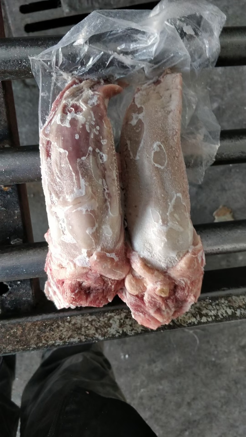国产：肥猪口条。屠宰场厂家一手货源。质量好