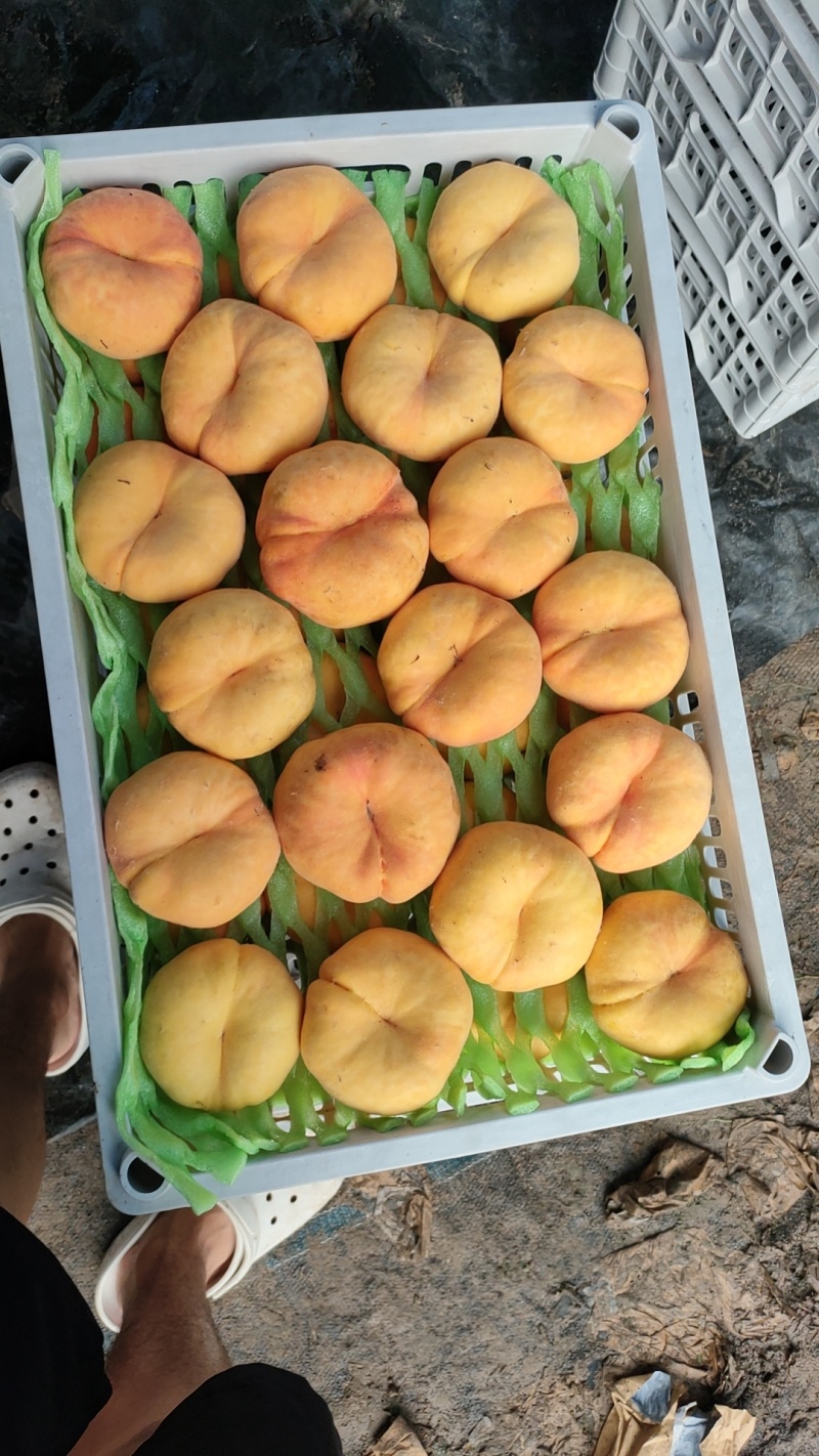 黄毛蟠，对接市场电商团购平台。