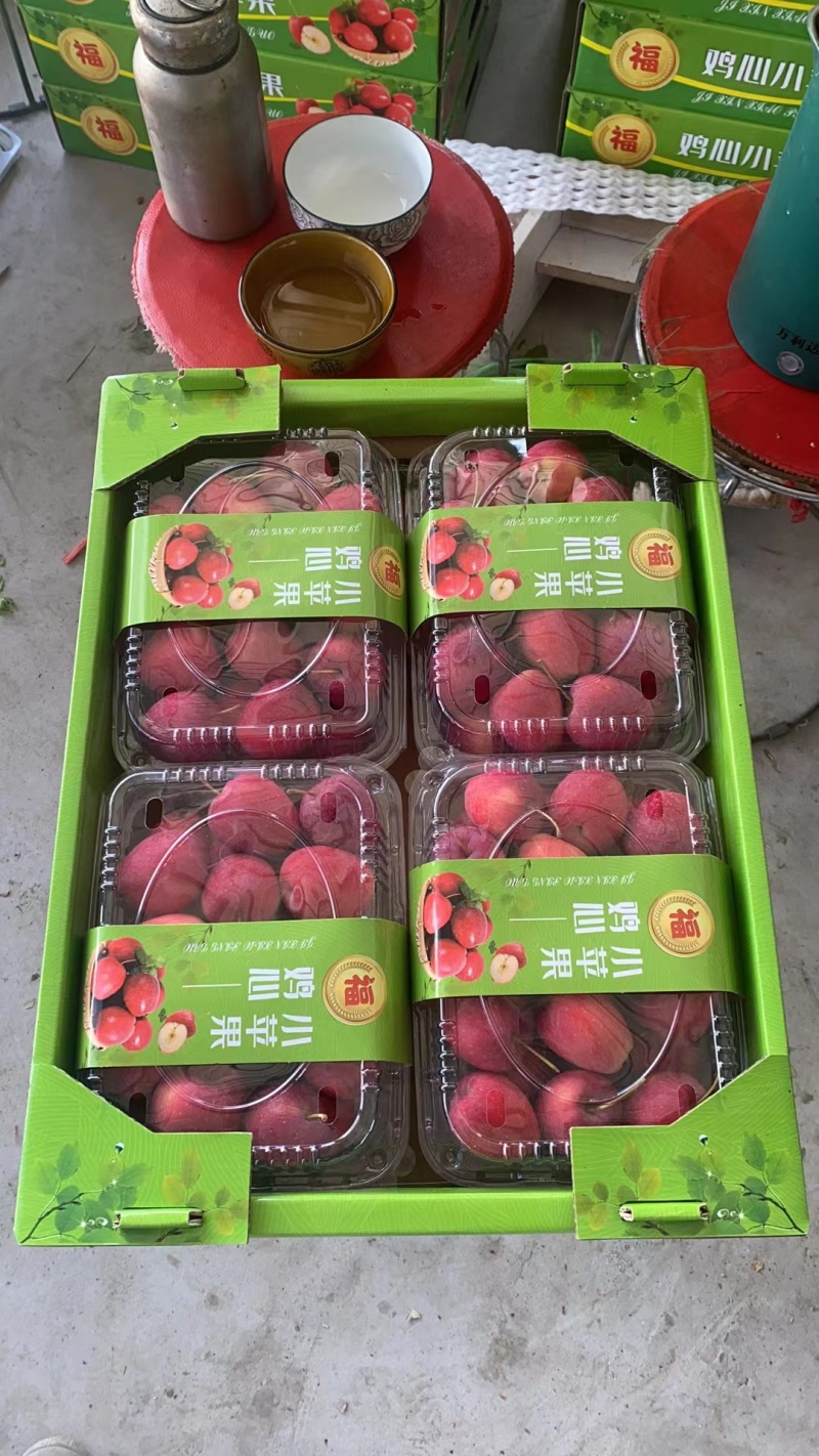 辽宁西丰锦绣海棠果鸡心果大量上市，产地供货一手货源