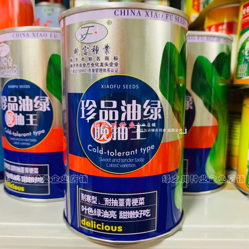 罐装晓富青梗菜种籽绿油亮珍品油绿晚抽王青菜种子耐寒冬春