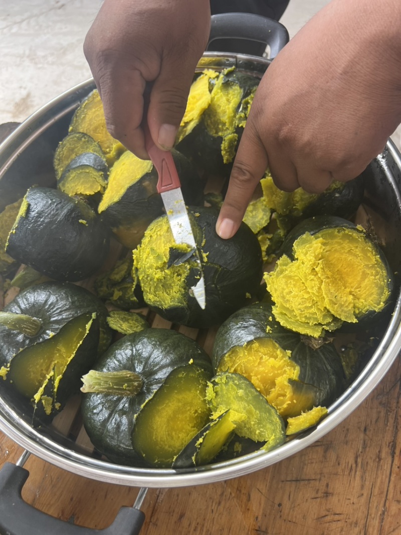 【推荐】内蒙沙地小贝贝南瓜精品贝贝南瓜种植基地