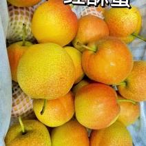 红酥蜜