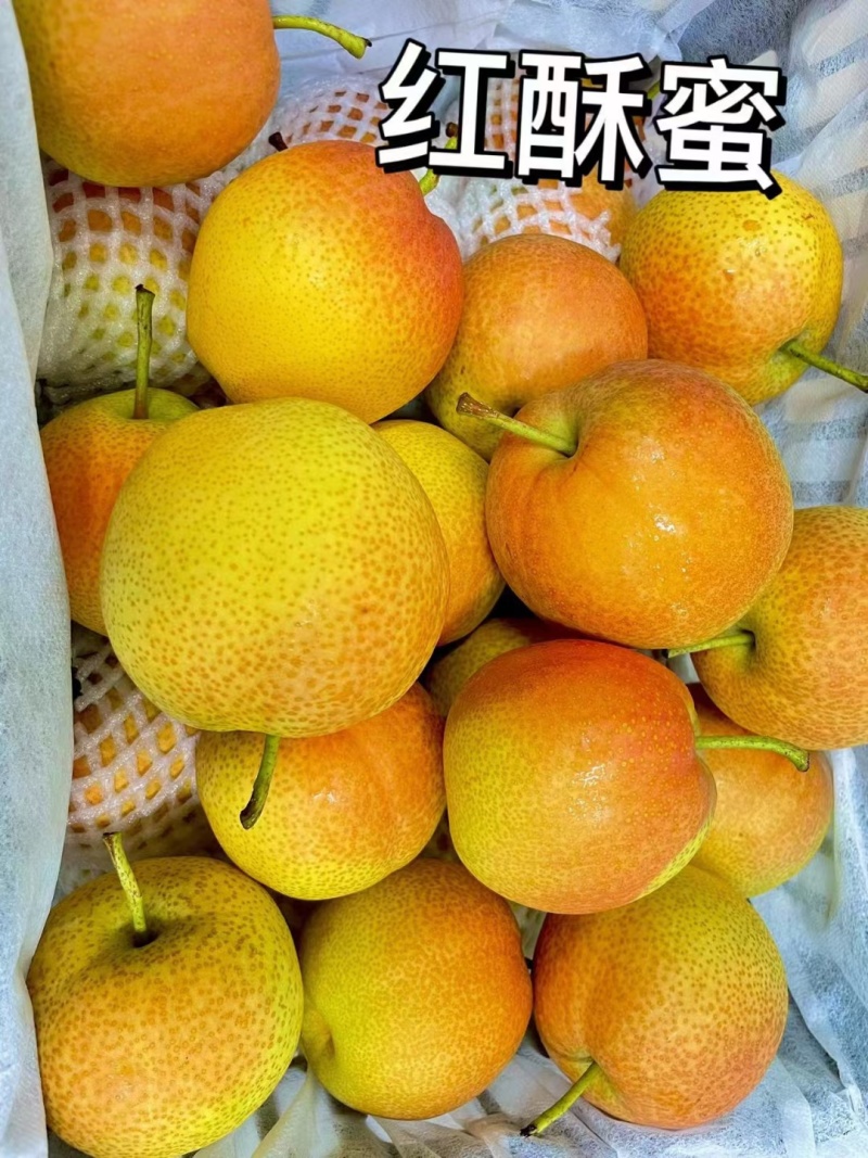 红酥蜜