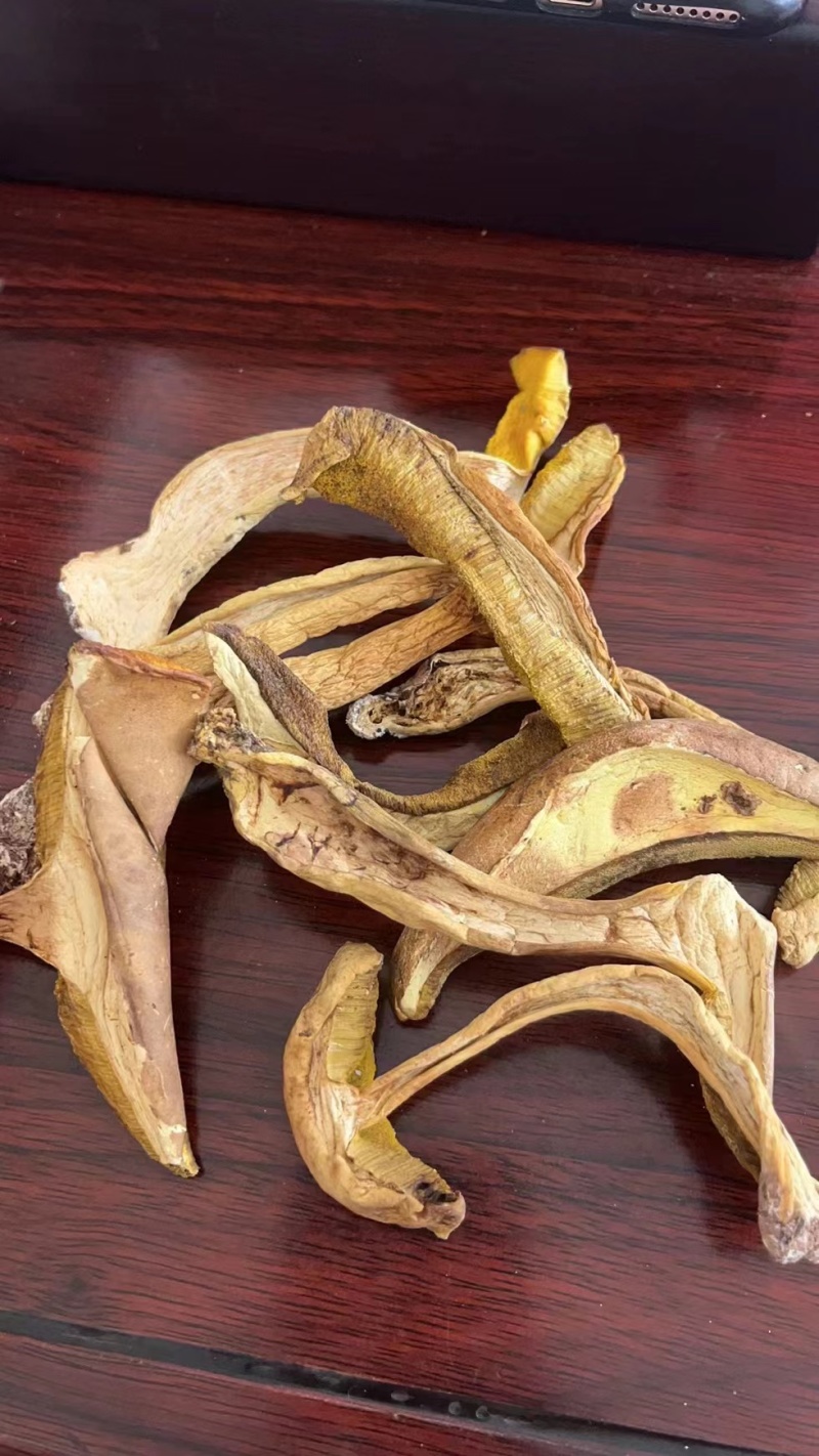 牛肝菌品质好有现货价格优惠欢迎进店选购