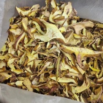 牛肝菌品质好有现货价格优惠欢迎进店选购